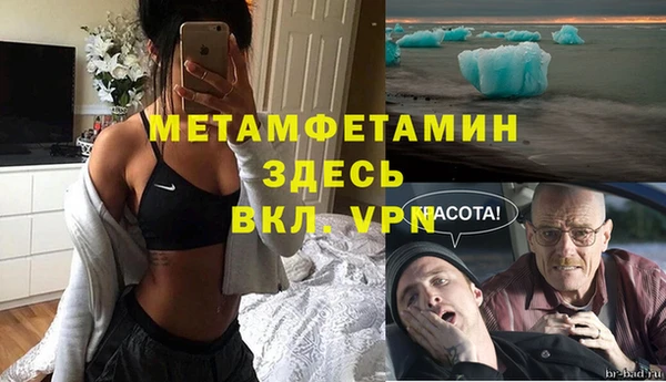 сатива Ахтубинск