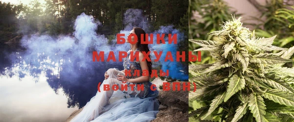 PSILOCYBIN Новокубанск