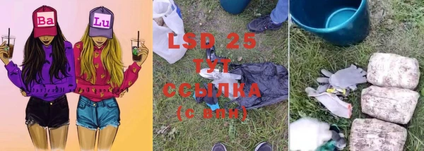 ПСИЛОЦИБИНОВЫЕ ГРИБЫ Наволоки
