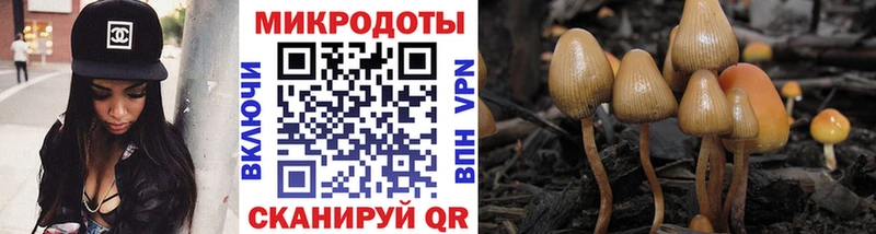 закладка  Лодейное Поле  Галлюциногенные грибы Magic Shrooms 